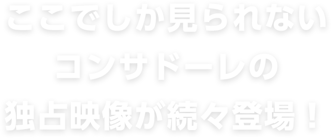 サイトをみる